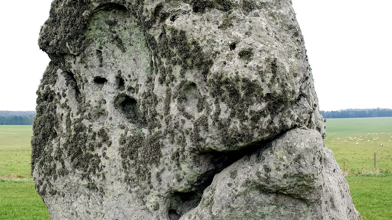 Placeholder cover for Stonehenge opening hours: when the site opens and closes through the year